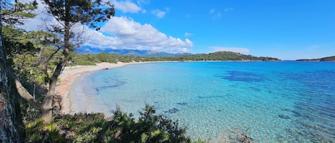 Playa en los alrededores
