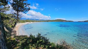 A clear view of a beach with clear blue water, surrounded by greenery and mountains in the background.