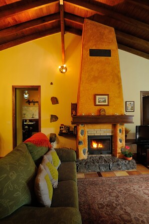 Smart-TV, Kamin, Bücher, Musikbibliothek