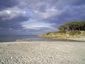 En strand med stenede områder, roligt hav og en række træer til højre.