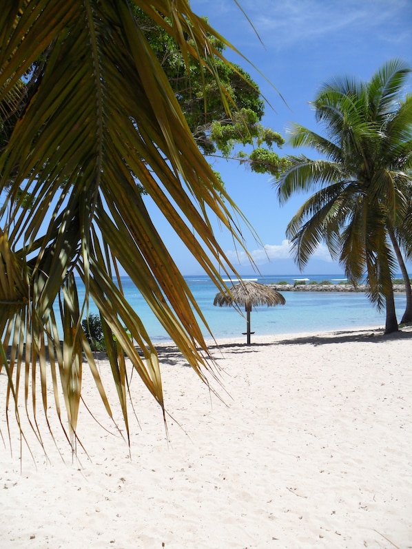 Plage à proximité, chaises longues, serviettes de plage