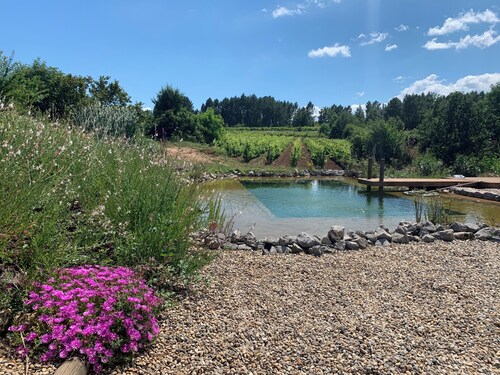 ECO GITE 3 stars 2/3pers AU COEUR DES VIGNES