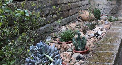 Il Riccio holiday home