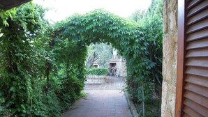 A brick pathway leading through a lush green archway, surrounded by dense foliage and a stone wall. - Il Riccio holiday home (Monte Argentario)