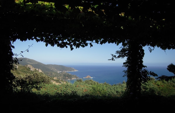 Uitzicht vanuit accommodatie