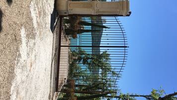 Parco della struttura