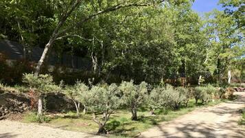 Parco della struttura