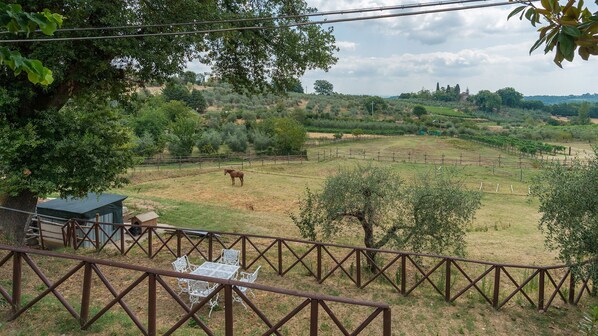 Paisaje rural con un caballo pastando, una cerca y un pequeño edificio.