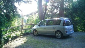 En sølvfarvet bil holder parkeret på en grusvej i et skovområde med et træhegn.