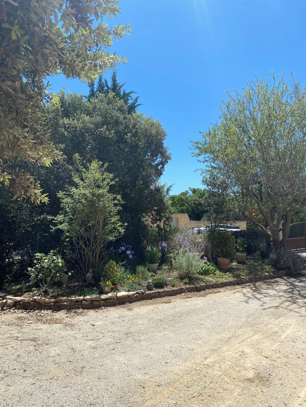 Un jardín con diversas plantas y una estatua de Buda.