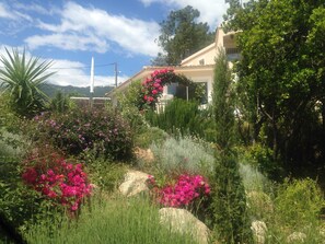 Área da propriedade