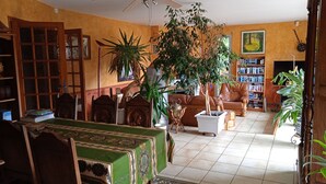 Un salon chaleureux avec une table recouverte d’une nappe verte, un ventilateur de plafond, une grande plante en pot, un canapé en cuir et une bibliothèque remplie de livres.