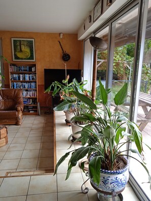 Télévision, cheminée, lecteur de DVD, livres