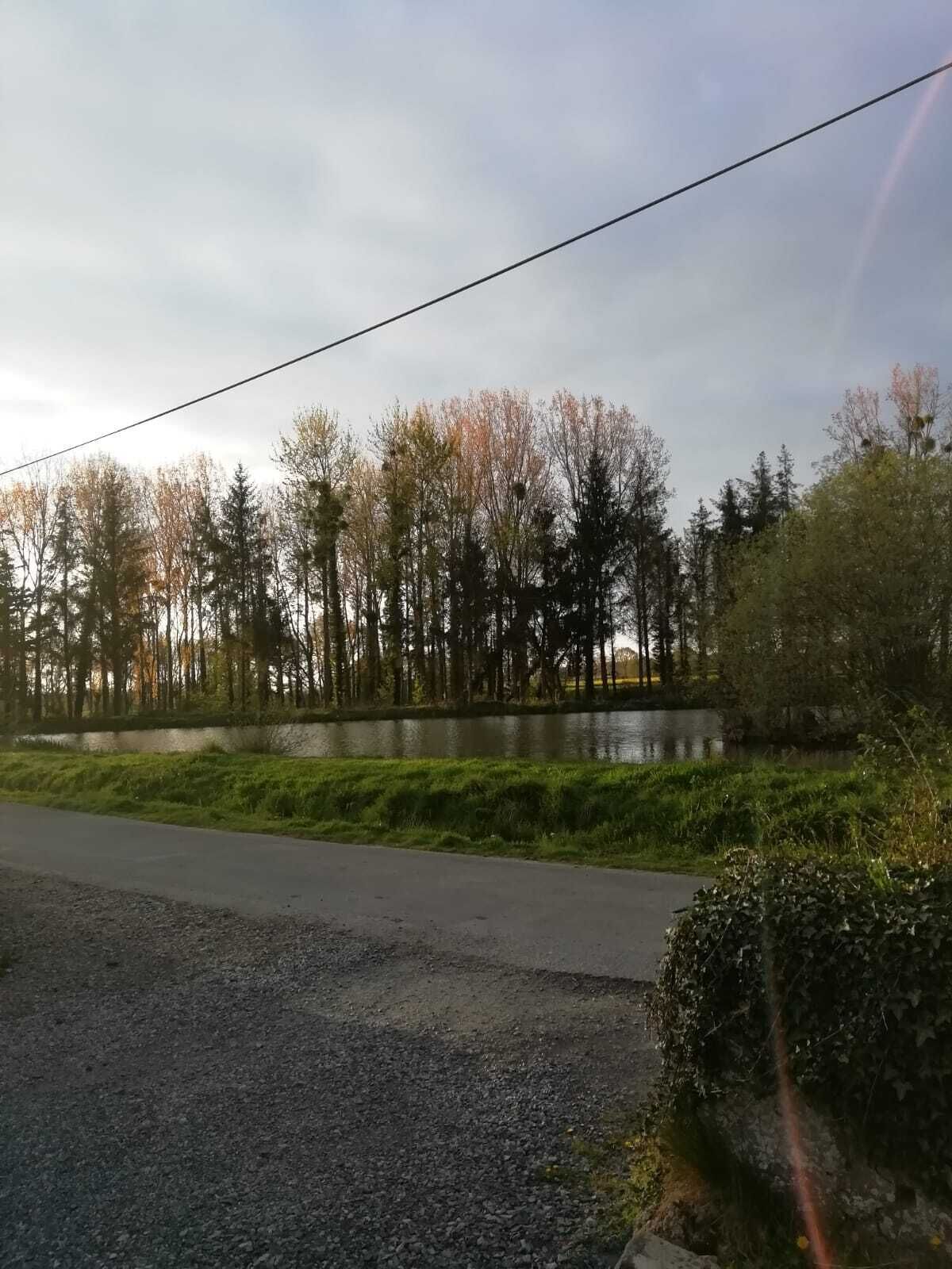 A road with a grassy area and trees in the background.