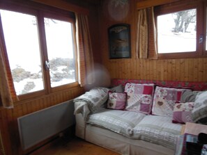 Smart TV, fireplace, DVD player, books