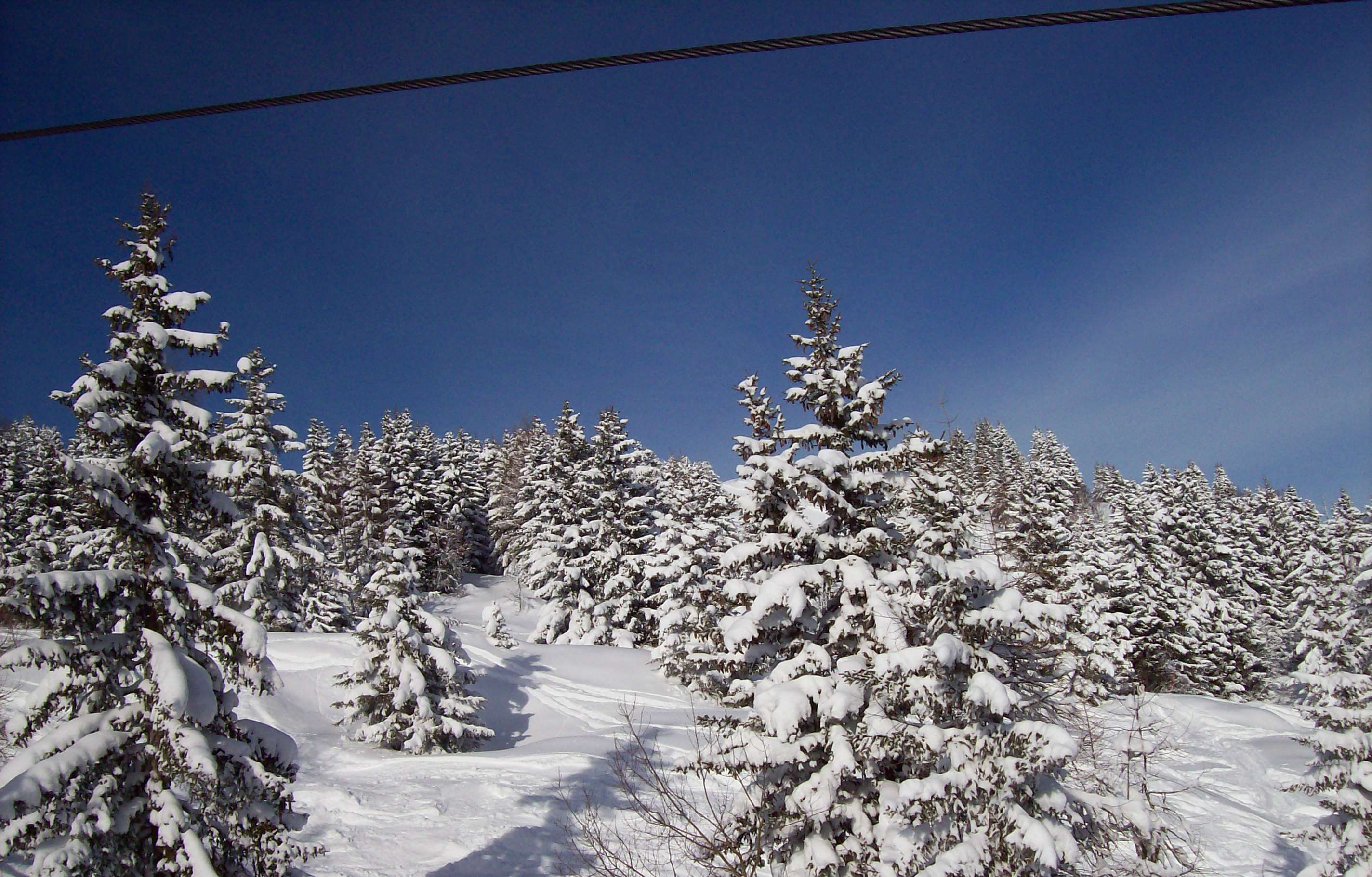 Sports d’hiver