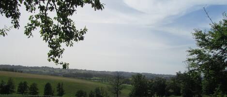 المنطقة المحيطة بالمنشأة