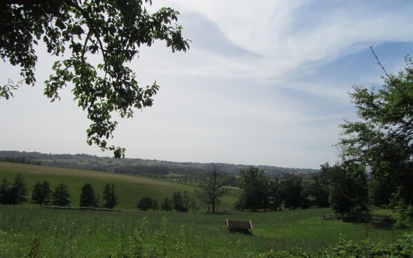 المنطقة المحيطة بالمنشأة