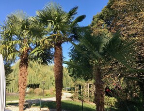 Property grounds - Chenonceau room from CHATEAU LES VALLEES (Tournon-Saint-Pierre)