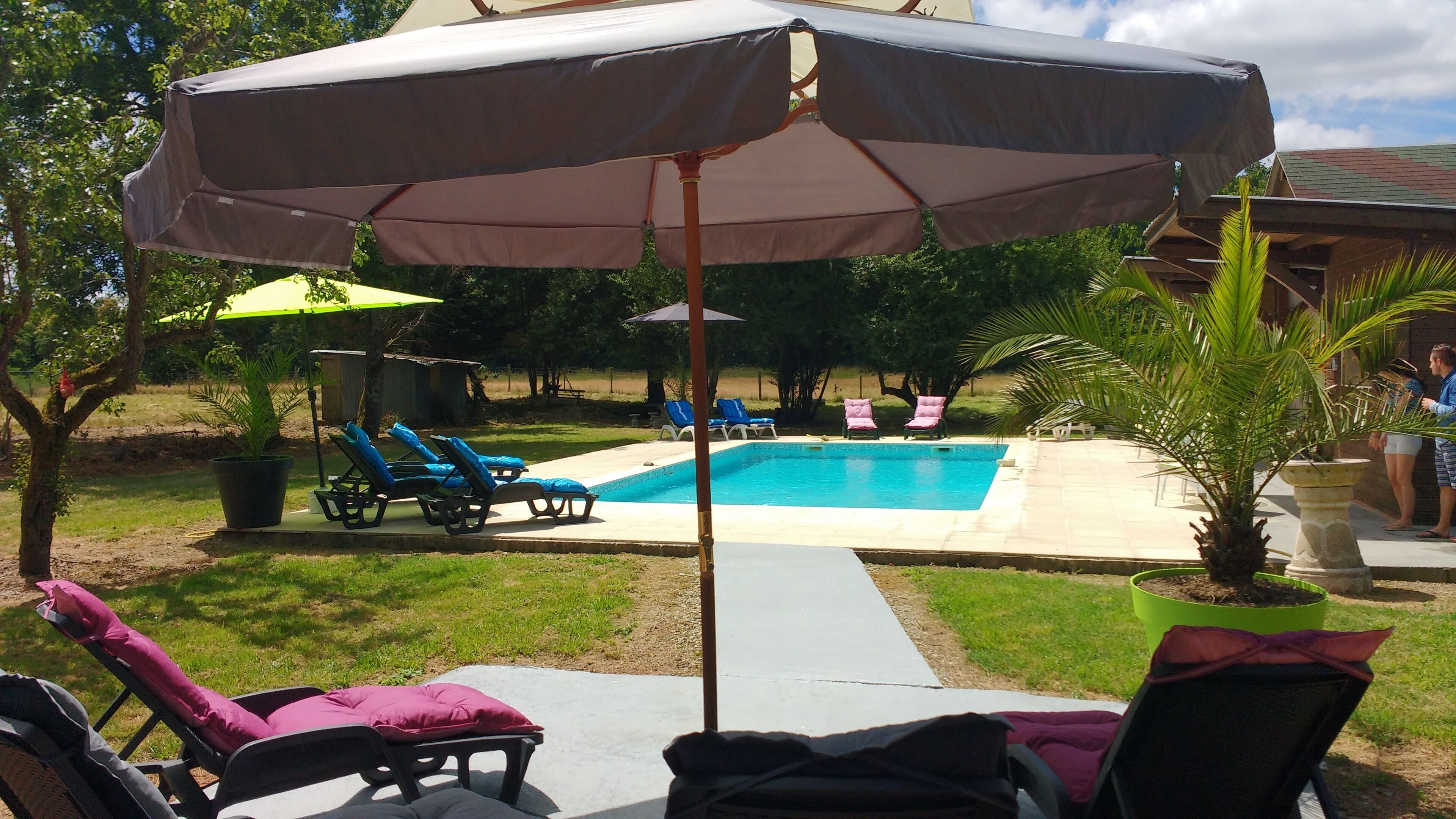 A backyard with a swimming pool, lounge chairs, and umbrellas.
