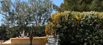 Luberon Suuri hahmo talo rauhassa, kaikki mukavuudet uima-altaalla 10mx5m