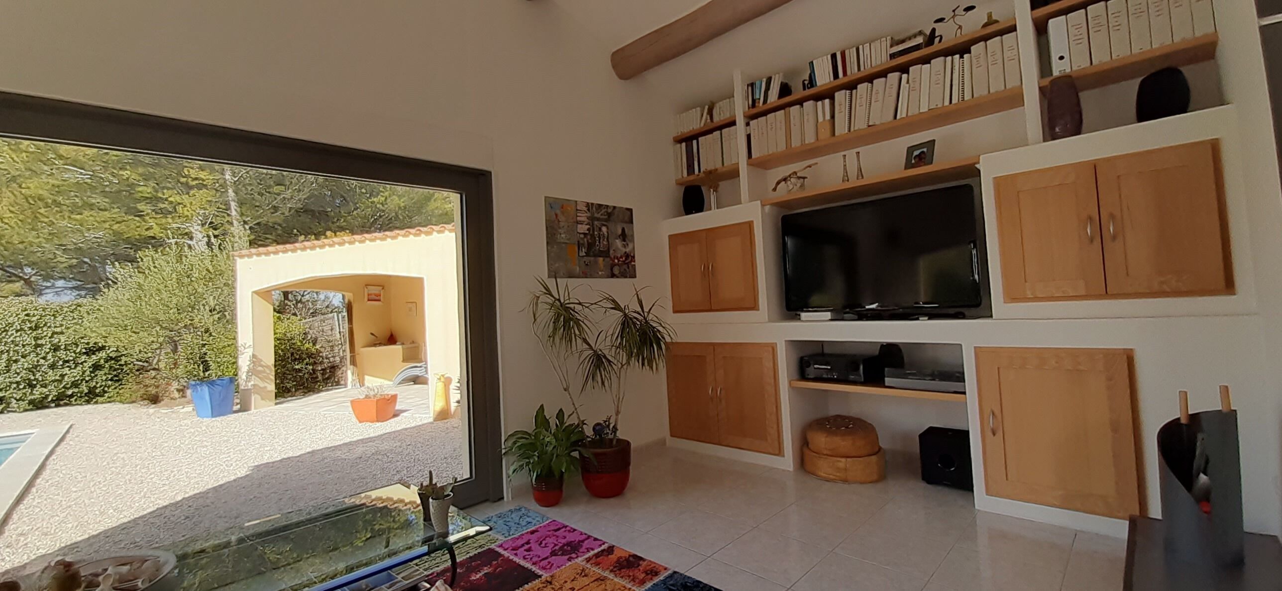A living room with a TV, bookshelves, and potted plants.