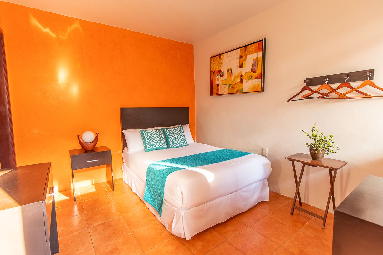 Un dormitorio con una cama, una mesita de noche, una pequeña mesa con una planta y un perchero en la pared.