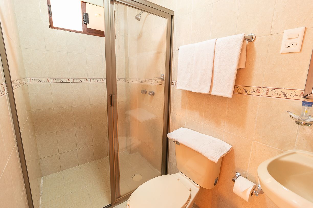 Une salle de bain avec une douche à parois de verre, des toilettes et un lavabo.