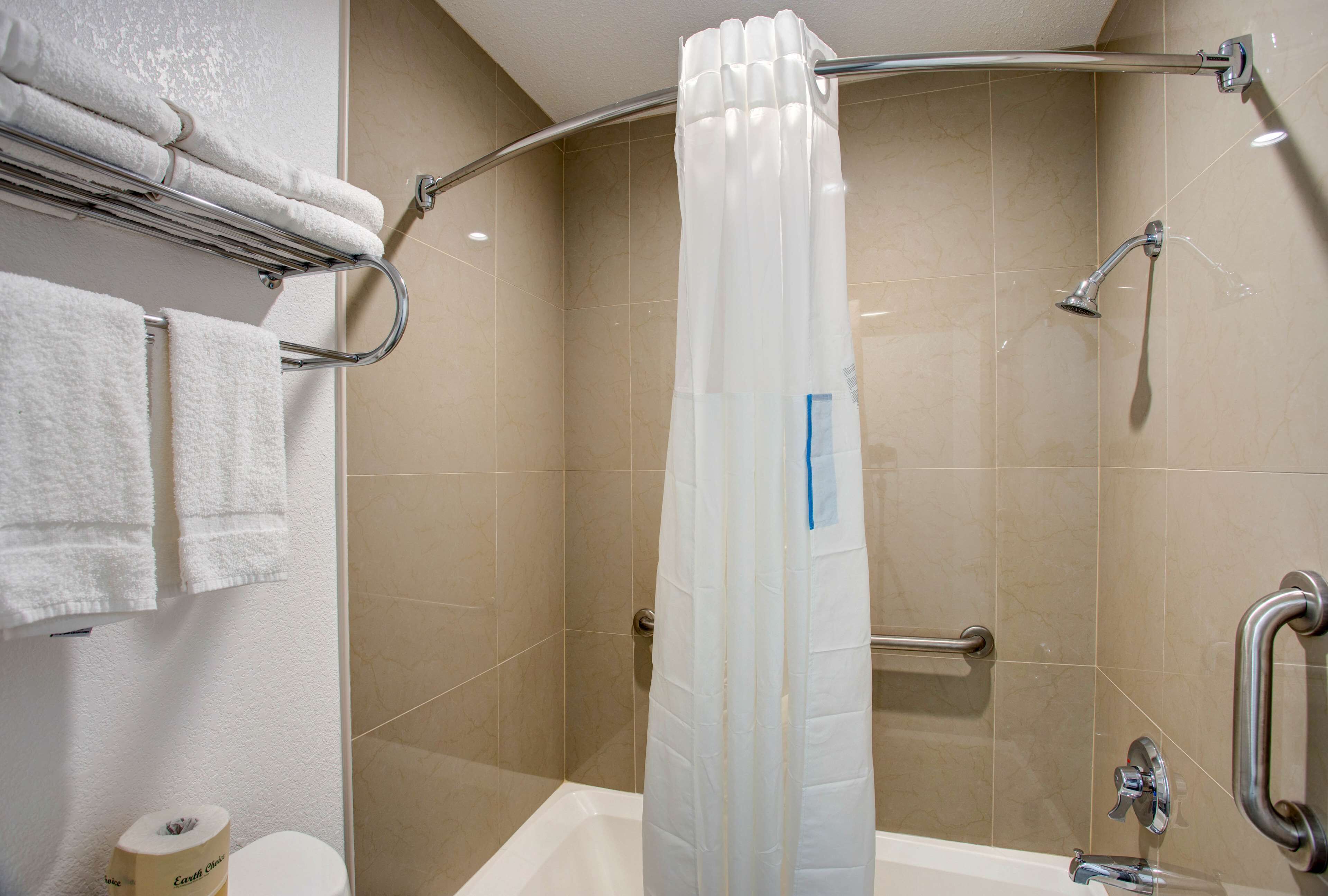 A bathroom with a shower, a toilet, and a towel rack.