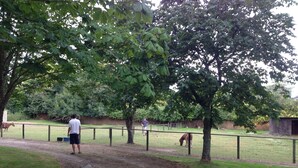 A park with a dirt path, trees, and a fenced area.
