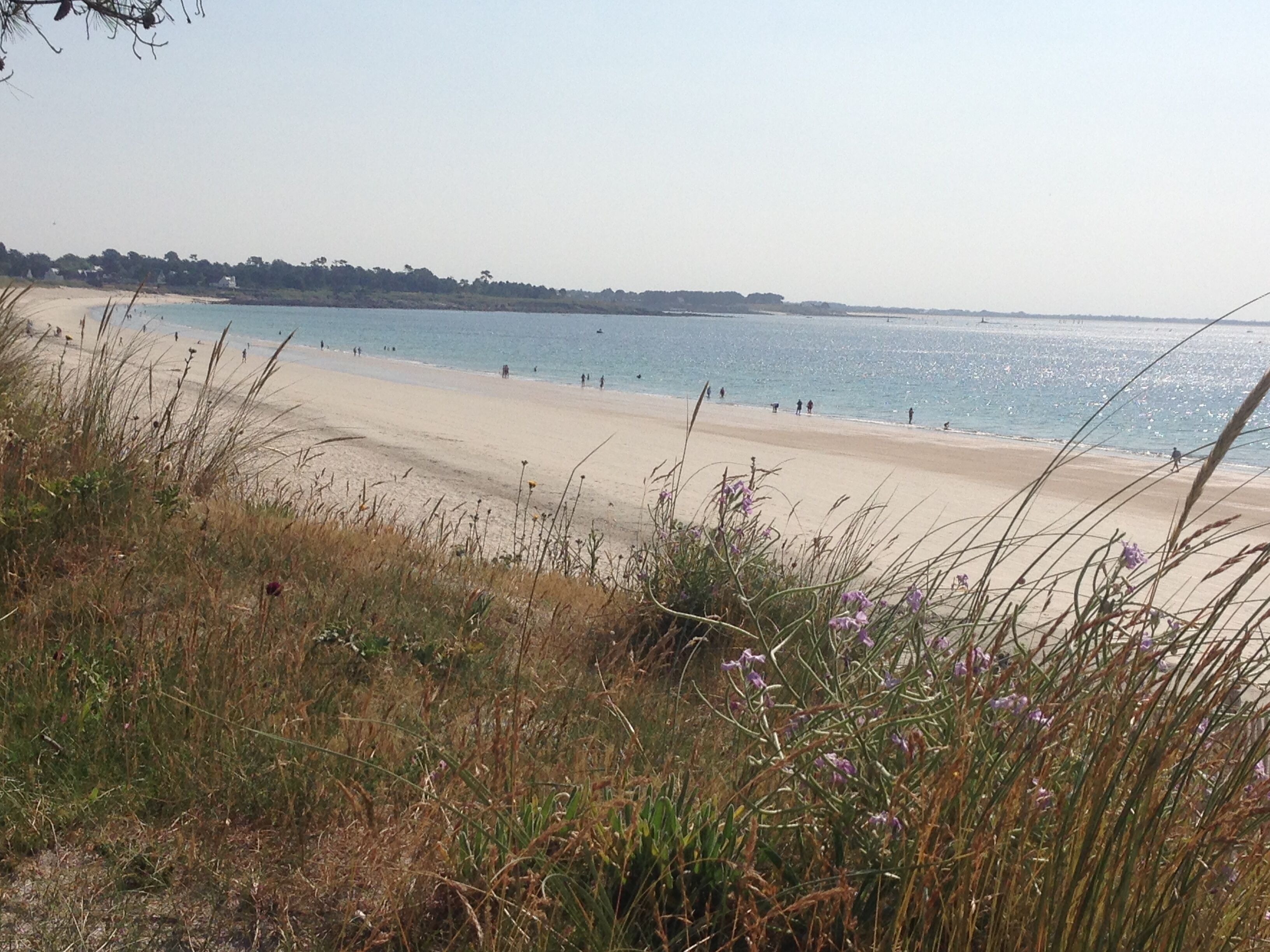 Een strand met een zandstrand en grasvelden op de voorgrond.