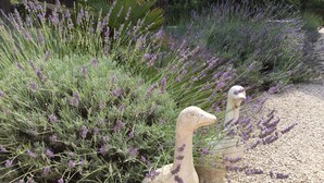 A garden with lavender plants and two stone sculptures of birds. - Villa 4 bedrooms, sleeps 300 meters from pampelone beach (Ramatuelle)