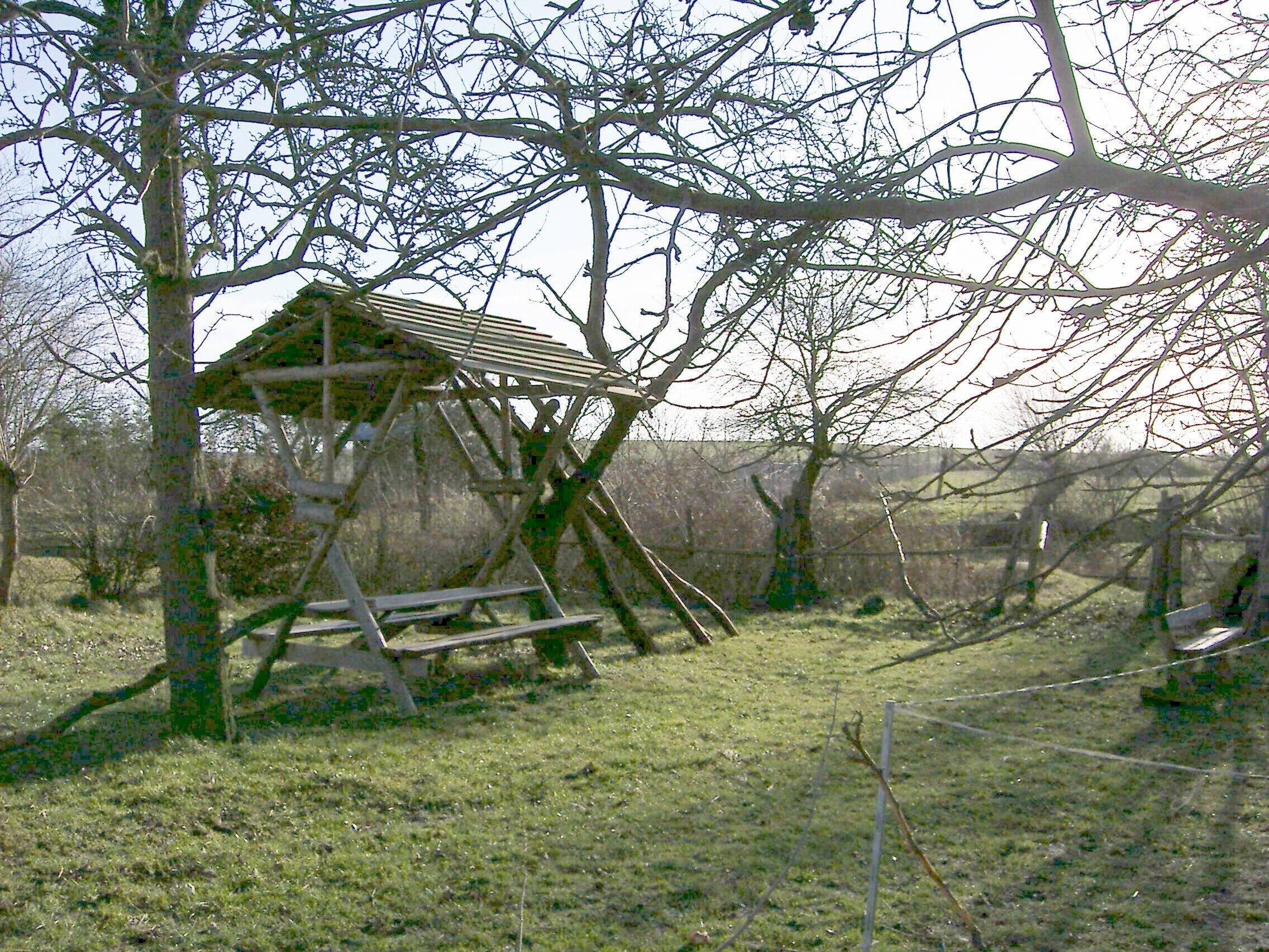 Une structure en bois, dotée d’un toit en pente et soutenue par des poutres, se dresse dans une zone herbeuse, parsemée d’arbres, avec une clôture en arrière-plan.