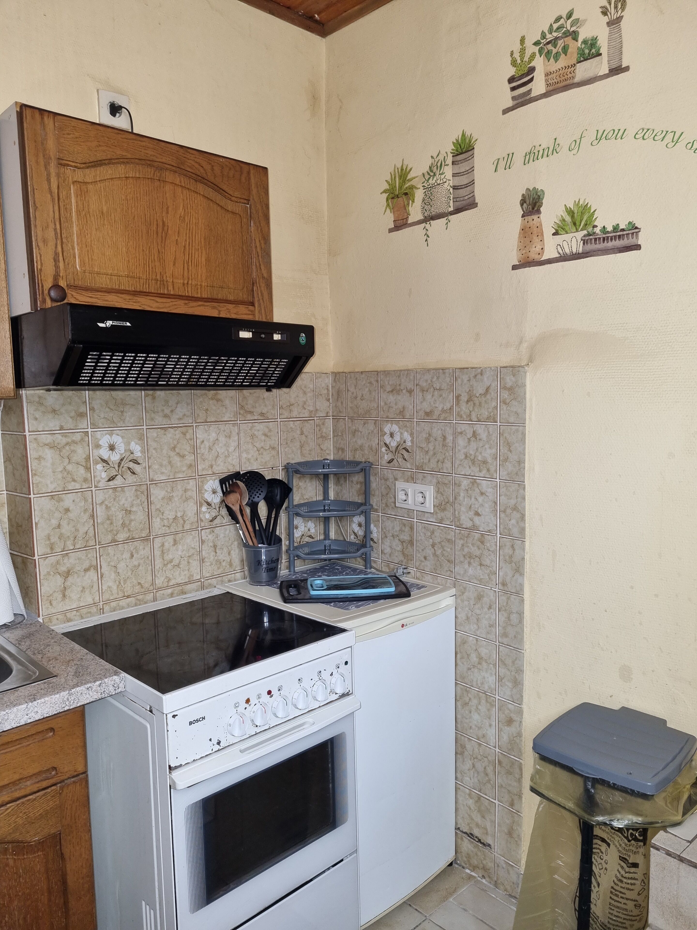 Fridge, oven, stovetop, coffee/tea maker