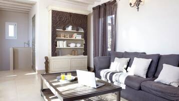 Télévision, cheminée, lecteur de DVD, livres