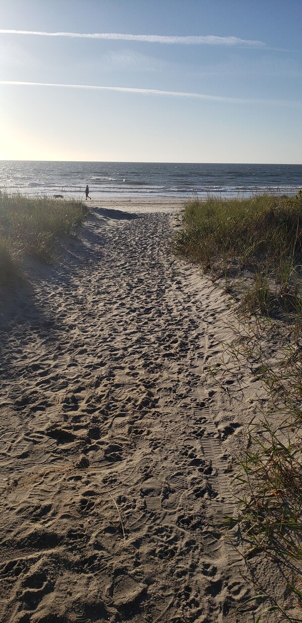 Playa en los alrededores y camastros 