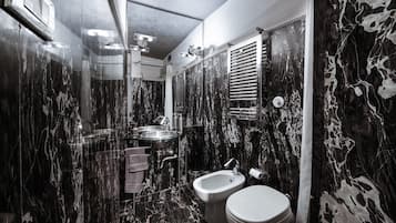 Shower, hair dryer, bidet, towels