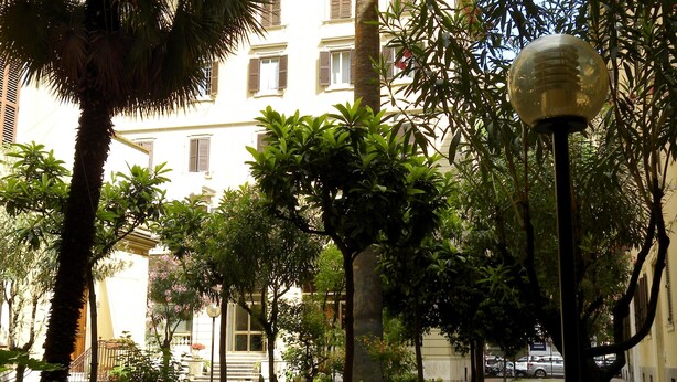 Une cour intérieure agrémentée de palmiers, un lampadaire et un bâtiment doté de fenêtres et de volets.