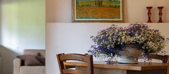 Apartment San Carlo Bilo9