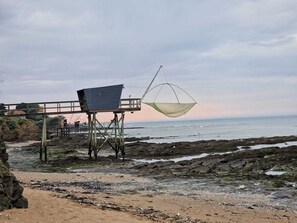Playa en los alrededores 