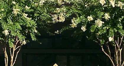 Red Door In The Woods Guest House