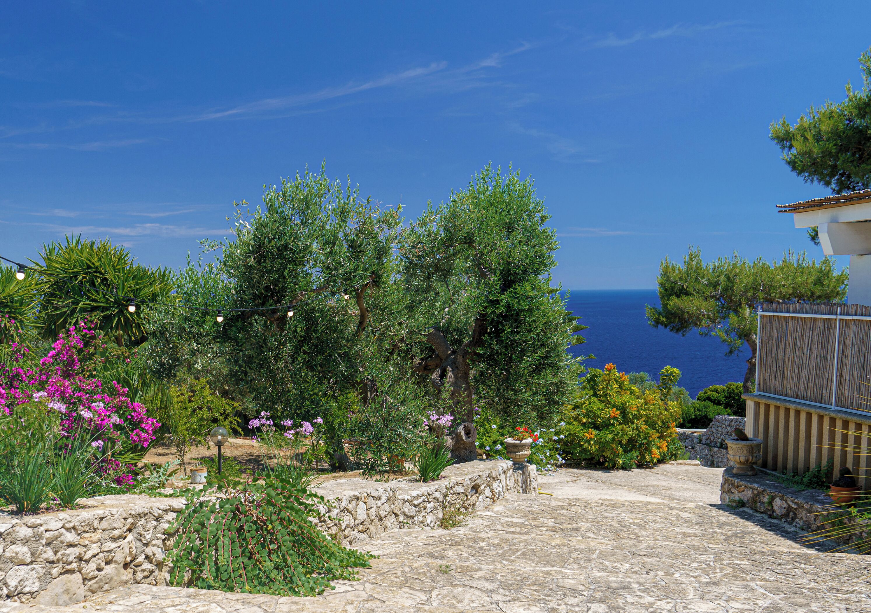 Terrein van de accommodatie