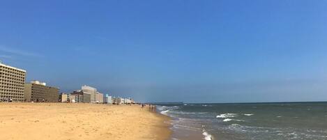 在海滩、沙滩椅、沙滩毛巾