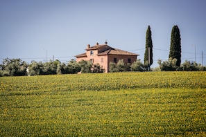 Exterior - 3BR apartment in agriturismo, ground floor. Shared pool (Cortona)