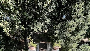 Un escalier en pierre mène à une terrasse en bois, elle-même entourée de verdure.