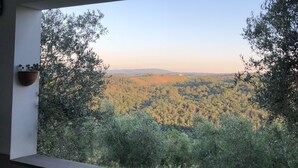 A room with a large window overlooking a forested landscape. - Sughera - Share-croppers house (Impruneta)