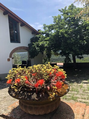Detalle exterior
