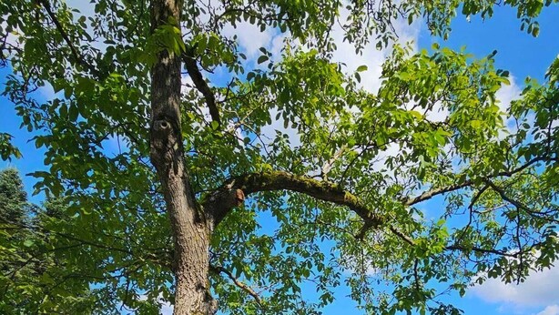 Un parc équipé d’une aire de jeux avec des balançoires, de tables de pique-nique et offrant une vue dégagée sur le paysage environnant.