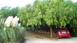 Um carro vermelho estacionado numa entrada de garagem, com uma árvore grande e capim-dos-pampas em primeiro plano.