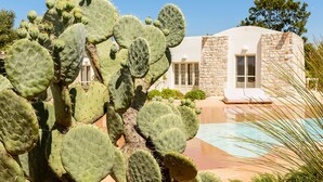 A large cactus in the foreground with a pool and a stone building in the background. - Luxury villa for 6 people with salt pool and in the middle of 14,000sqm  (Ostuni)